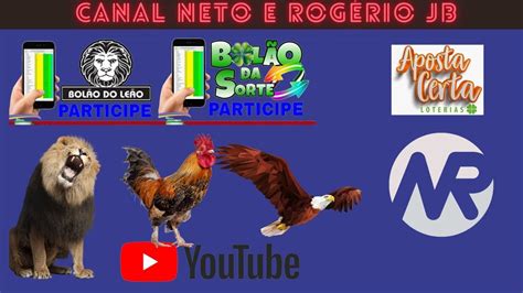 rogerio e neto jogo do bicho - rogerio e neto ao vivo